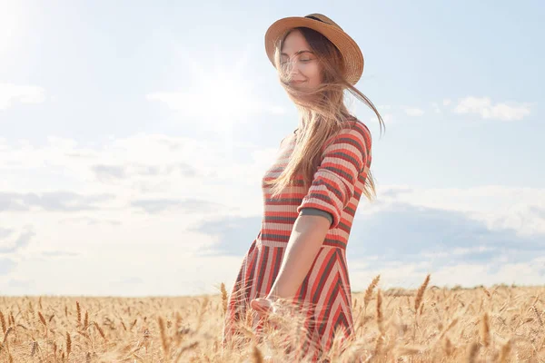 Mulher nova com cabelo claro posando no campo de trigo, tocando spikelet dourado com as mãos, feminino vestindo vestido listrado e chapéu de palha, menina tem expressão facial agradável, de pé com os olhos fechados . — Fotografia de Stock