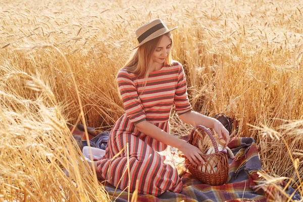 Retrato de atraente jovem senhorita que passa um tempo sozinha no campo de trigo, sentado em cobertor, tocando cesta com as mãos, vai ter refeição em torno da natureza, vestindo chapéu de palha e vestido casual . — Fotografia de Stock