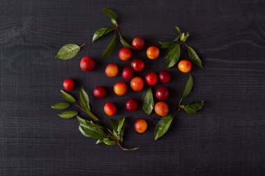 Koyu ahşap arka planda Erik ve aliches ile kompozisyon, üst görünüm, reklam veya promosyon metin için kopya alanı. Siyah masada yaz hasat renkli resmi. Temiz yeme konsepti.