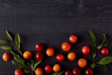 Erik ve kayısı yaratıcı karanlık tarzı resim çevrili, kopya alanı ile siyah ahşap masa arka planda taze meyve üst görünümü. Yaz taze kompozisyon. Reklam için yer Kopyala.