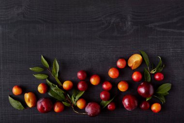 Olgun yaz parlak meyve üst görünümü tüm kompozisyon altında olmak, ağaçlarından yaprakları. Ahşap koyu arka planda yatan kiraz Erik çeşitli türleri. Reklam için copyspace.