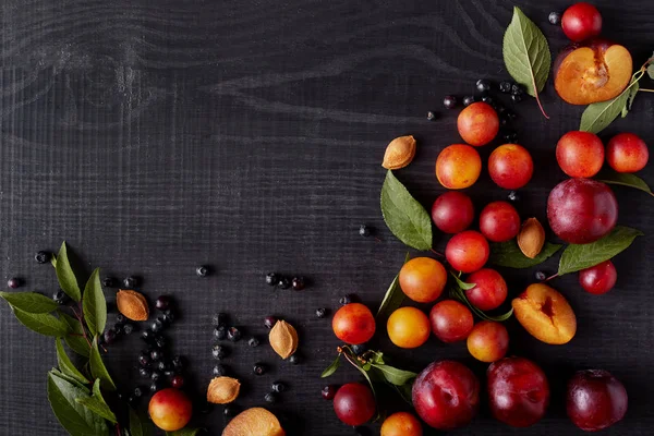 Aesthetic bright layout made of cherry plums, leaves and blueberry isolated  over black wooden background, flat lay, creative composition, summer food,  healthy diet. Copyspace for advertisement. - Stock Image - Everypixel