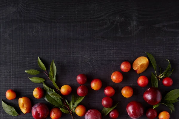 Summer set of berries situated at bottom of picture, lying chaotically with tiny green branches over wooden black background, bright ripe cherry plums made pattern. Flat lay, top view. Food concept. — Stock Photo, Image