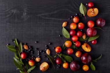 Koyu ahşap arka plan, yaban mersini, alich, siyah masa üzerinde erik, reklam veya promosyon metin için kopya alanı üzerinde izole meyve Resmi. Sağlıklı gıda, sağlıklı beslenme ve vitamin kavramı.