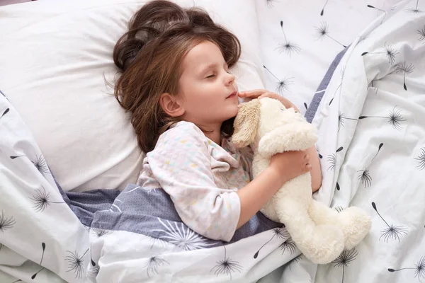 Indoor shot of adorable little child girl sleeping in bed with her toy, child girl hugging teddy bear while laying on linens with dandelion, toddler having rest afterhard day. ?hildren concept. — Stock Photo, Image