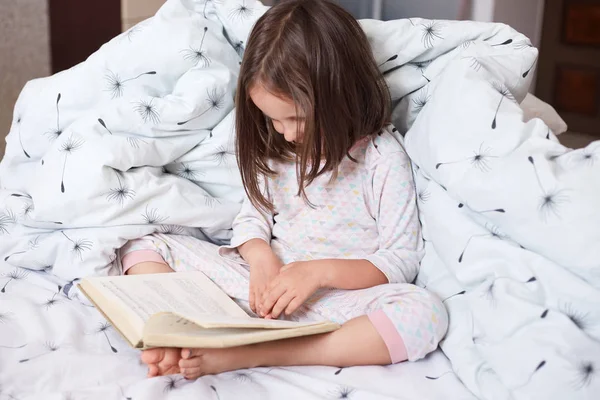 Image of serious preschooler girl reading book in bed, cute kid sitting under blanket with dandelion, darkhaired child reads fairy tale with interest. Early learning and children development concept. — Stock Photo, Image