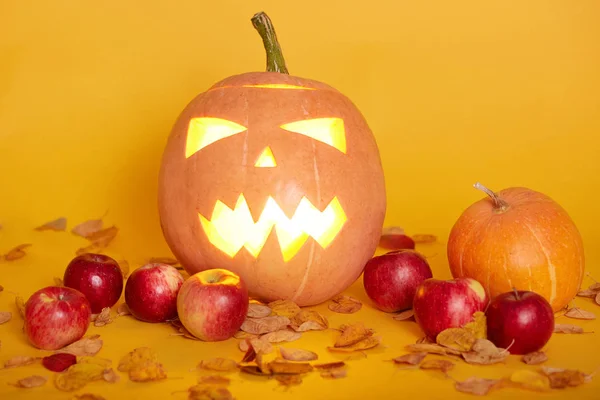 Captura horizontal de cosecha o fondo de Acción de Gracias con calabazas, manzanas y hojas caídas, Jack O 'Lantern, aislado sobre fondo amarillo del estudio. Halloween o concepto otoñal estacional . —  Fotos de Stock