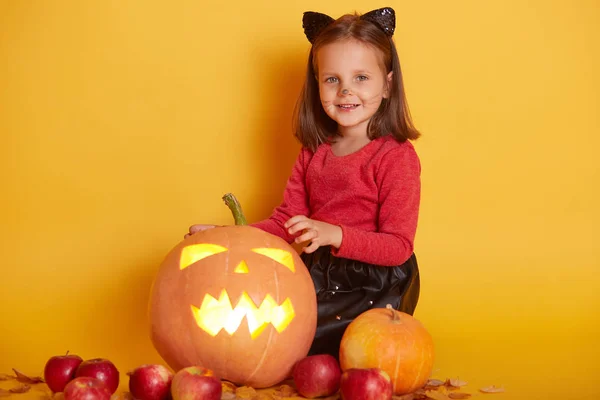 Retrato de cerca de una linda niña de cabello oscuro con camisa roja en el paisaje otoñal con calabazas y manzanas, posando con máscara de gato aislada sobre fondo amarillo del estudio. Concepto Halloween . —  Fotos de Stock