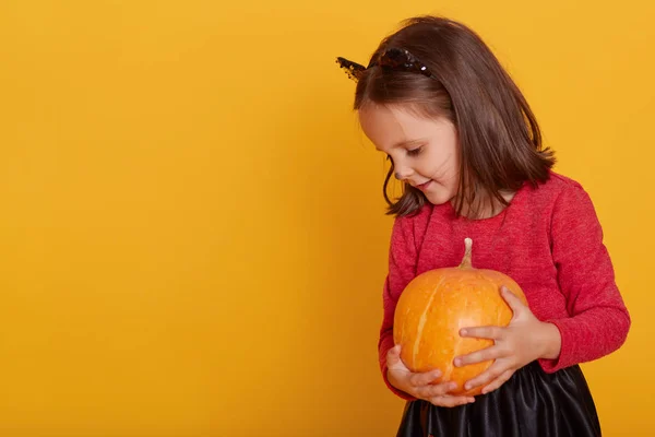 Retrato de niña en traje de gato. Encantador niño sosteniendo calabaza naranja, mirando hacia abajo, viste camisa roja y falda negra. Copia el espacio para la publicidad o el texto de promoción. Concepto Halloween . —  Fotos de Stock