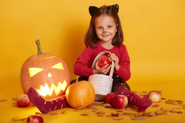 Retrato de niña en traje de gato, niño sentado en el suelo con truco o cesta de golosinas, rodeado de manzanas y Jack o Lantern, mirando sonriente directamente a la cámara. Halloween estudio decoración . —  Fotos de Stock