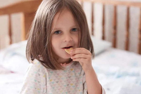 Kislány eszik keksz snack, miközben ül az ágyban, kaukázusi gyermek kezében cookie-k a kezét, és harapdálja, sötét hajú gyerek visel fehér inget, néz közvetlenül a kamerába, néz rajzfilmeket reggel. — Stock Fotó