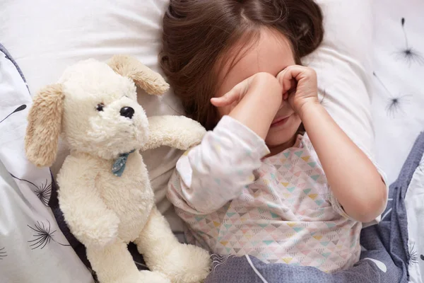 Sleepy pretty little child rubbing her eyes in morning while lying in bed. Lovely small child with dark natural hair lies on comfortable bed with her soft white toy dog, relaxing in cot in morning. — Stock Photo, Image