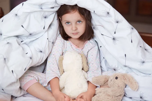 Indoor shot of sweet little dark haired girl hugging her soft dog toy, looking at camera with serious facial expression, sitting on bed with her fluffy toys, playing in her cosy room in morning. — Stock Photo, Image