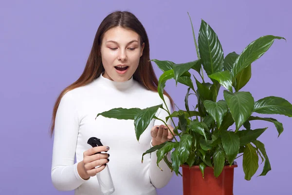 Jeune Femme Pulvérise Des Plantes Dans Des Pots Fleurs Regardant — Photo