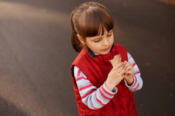 Charming Little Lady Wearing Red Jacket Dark Haired Female Child — Stock Photo, Image