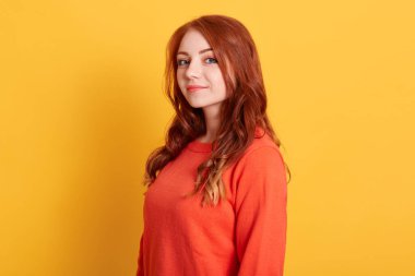 Güzel kızıl saçlı, kendine güvenen, şık bir dergiye poz veren, kameraya bakan, sarı arka planda poz veren, sıradan turuncu süveter giyen genç bir kadın..
