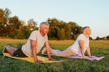 İki son sınıf öğrencisi alacakaranlıkta çimenli bir alanda yoga seansına katılıyorlar. Sıcak güneş ışığı odaklanmış ifadelerini vurgular ve barışçıl bir atmosferi teşvik eder..