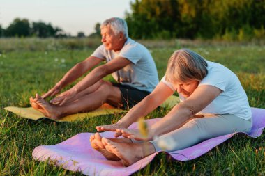 İki son sınıf öğrencisi çimenli bir alanda renkli minderlerin üzerinde yoga esnemeleri yapıyor. Ağaçlar ve yumuşak akşam ışıklarıyla çevrili pozlarına odaklanırlar ve huzurlu bir ortam yaratırlar..