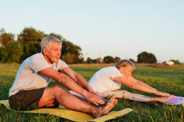 İki son sınıf öğrencisi, arka planda güneş batarken çimenli bir tarlada renkli minderlerin üzerinde yoga yapıyor ve açık hava ortamının keyfini çıkarıyorlar..