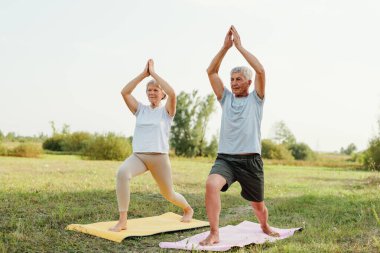 İki yaşlı birey, hava kararırken huzurlu bir ortamda renkli paspaslar üzerinde yoga pozları vererek sağlık ve ahengi kucaklıyor..