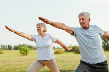 İki son sınıf öğrencisi, huzurlu bir parkta yoga pozisyonunda, sıcak öğleden sonra güneşinin tadını çıkarırken, sağlık ve birlikteliği destekliyor..