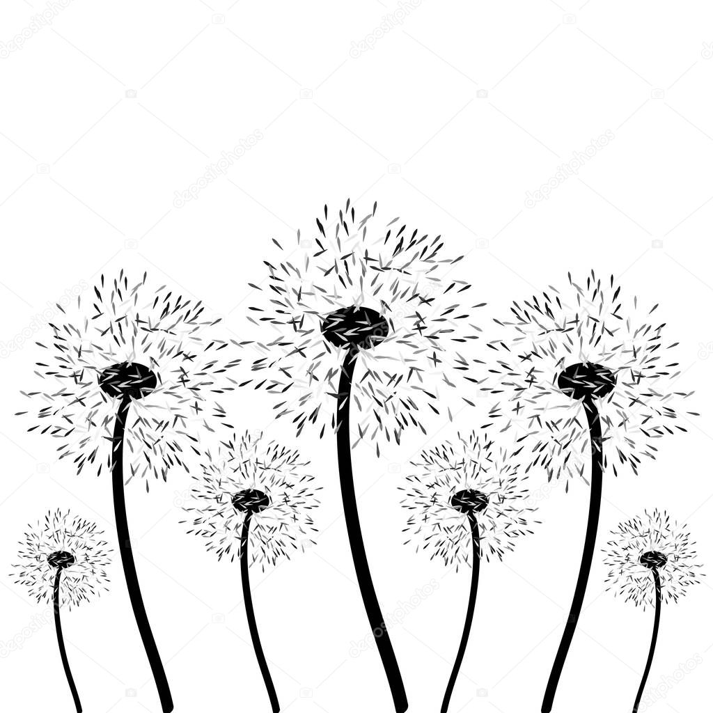 Dandelion seeds isolated on white background. Vector illustration