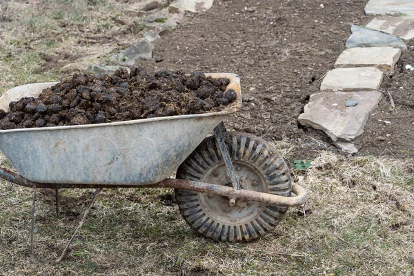 Pilha de estrume de cavalo no jardim - trabalho agrícola e de jardim — Fotografia de Stock