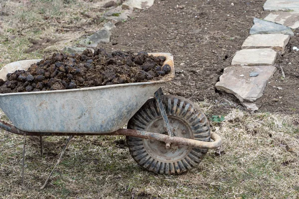 Pile de fumier de cheval sur le jardin - travaux agricoles et de jardin — Photo