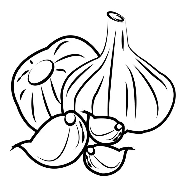 大蒜剪影与大蒜丁香隔离在白色背景 — 图库矢量图片