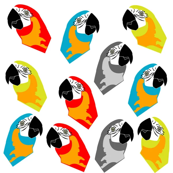 Colore testa pappagalli isolato su sfondo bianco . — Vettoriale Stock