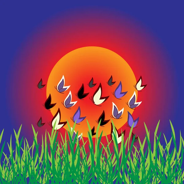 Couleur Papillons avec coucher de soleil - scène de la nature — Image vectorielle