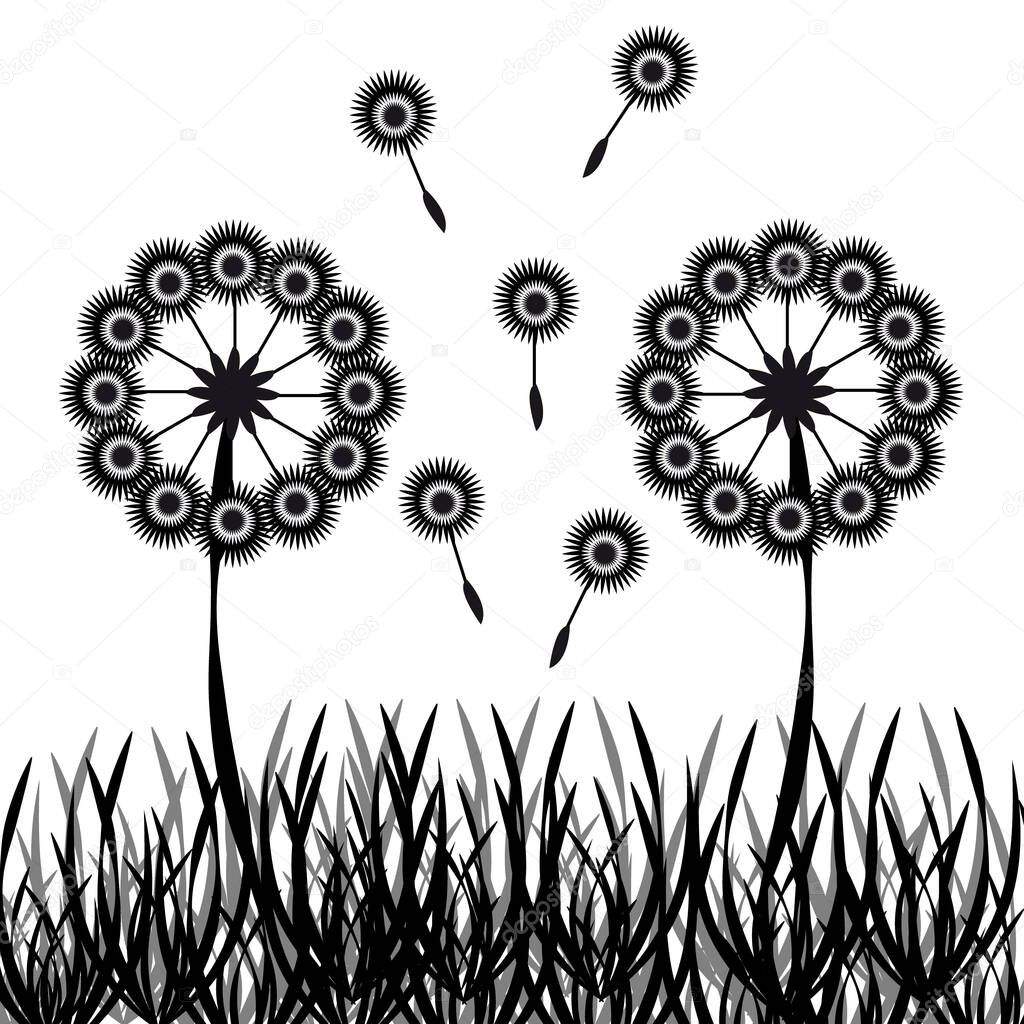 Dandelions silhouette with grass isolated on white background