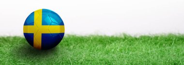 Panoramik yeşil çim beyaz arka plan üzerinde izole ve futbol topu bayraklı. İsveç