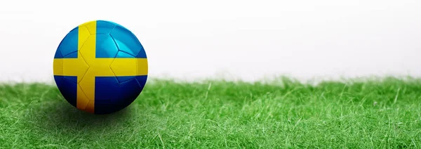 Panoramautsikt Över Grönt Gräs Isolerad Vit Bakgrund Och Flaggade Fotboll — Stockfoto