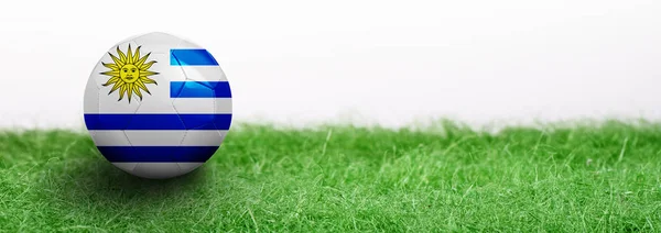 Panoramic Green Grass Isolated White Background Flagged Soccer Ball Uruguay — Stock Photo, Image