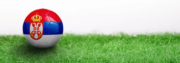 Panoramiczne Zielona Trawa Białym Tle Oznaczone Piłka Nożna Serbia — Zdjęcie stockowe