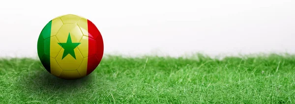 Panoramic Green Grass Isolated White Background Flagged Soccer Ball Senegal — Stock Photo, Image