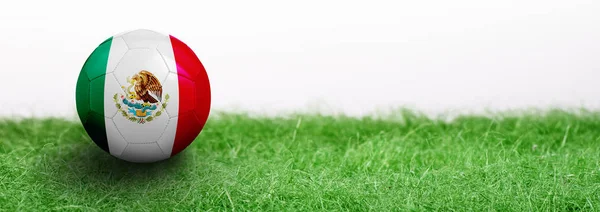 Panoramic Green Grass Isolated White Background Flagged Soccer Ball Mexico — Stock Photo, Image