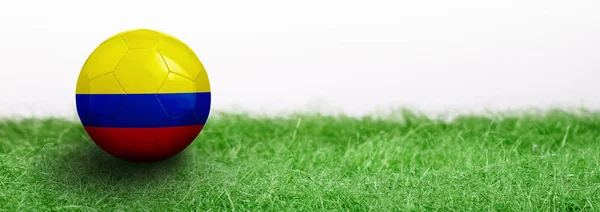 Panoramic Green Grass Isolated White Background Flagged Soccer Ball Colombia — Stock Photo, Image