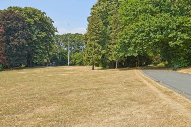 Ölümcül büyük ısı dalgaları parkta Josaphat Brüksel, Belçika