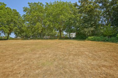 Ölümcül büyük ısı dalgaları parkta Josaphat Brüksel, Belçika