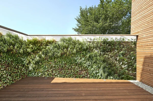 庭院装修茂盛的蔬菜墙和新硬木地板 — 图库照片