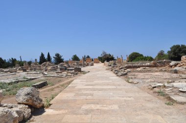 Kutsal Apollo Hylates Kıbrıs