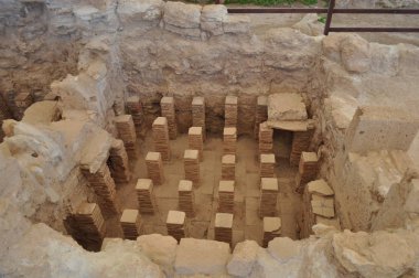 Kutsal Apollo Hylates Kıbrıs