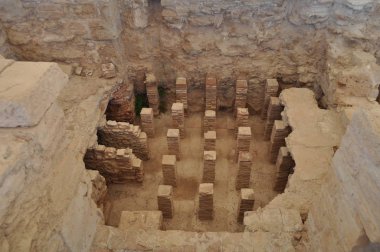 Kutsal Apollo Hylates Kıbrıs