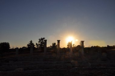 Kutsal Apollo Hylates Kıbrıs