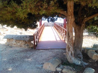 Kutsal Apollo Hylates Kıbrıs