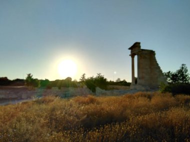 Kutsal Apollo Hylates Kıbrıs