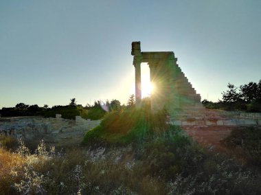 Kutsal Apollo Hylates Kıbrıs