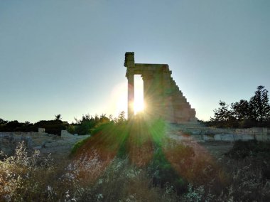 Kutsal Apollo Hylates Kıbrıs